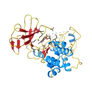 THE STRUCTURE OF MAP2K7 IN COMPLEX WITH 5Z-7-oxozeaenol