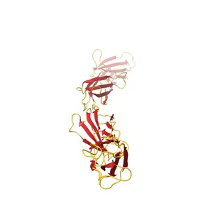 FRAGMENT OF HUMAN FIBRONECTIN ENCOMPASSING TYPE-III REPEATS 7 THROUGH 10