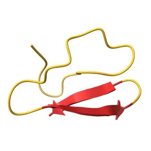 DETERMINATION OF THE THREE-DIMENSIONAL STRUCTURE OF THE C-TERMINAL DOMAIN OF CELLOBIOHYDROLASE I FROM TRICHODERMA REESEI. A STUDY USING NUCLEAR MAGNETIC RESONANCE AND HYBRID DISTANCE GEOMETRY-DYNAMICAL SIMULATED ANNEALING