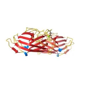 BACTERIAL TYPE 3A CELLULOSE-BINDING DOMAIN