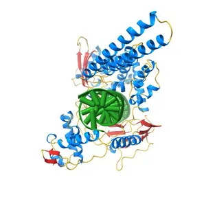 TOPOISOMERASE I/DNA COMPLEX