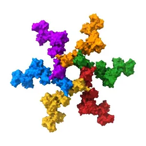 The X-ray structure of the gp15 hexamer and the model of the gp18 protein fitted into the cryo-EM reconstruction of the contracted T4 tail