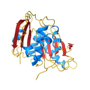 Crystal structure of PETase from Ideonella sakaiensis