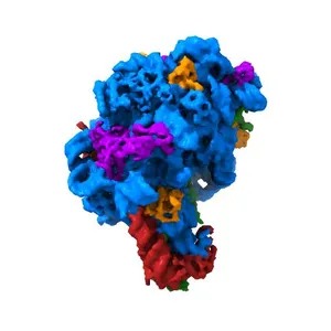 CRYSTAL STRUCTURE OF THE LARGE RIBOSOMAL SUBUNIT FROM HALOARCULA MARISMORTUI AT 2.4 ANGSTROM RESOLUTION
