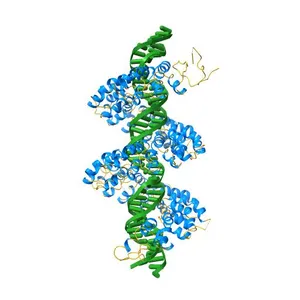 Structure of TAL effector PthXo1 bound to its DNA target