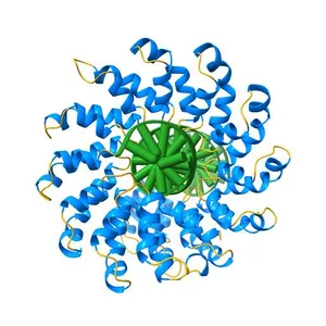 Crystal structure of the DNA-bound dHax3, a TAL effector, at 1.85 angstrom
