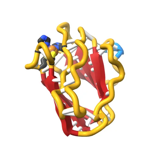Reduced Cu(I) form at pH 4 of P52G mutant of amicyanin — Фото 2 из 13