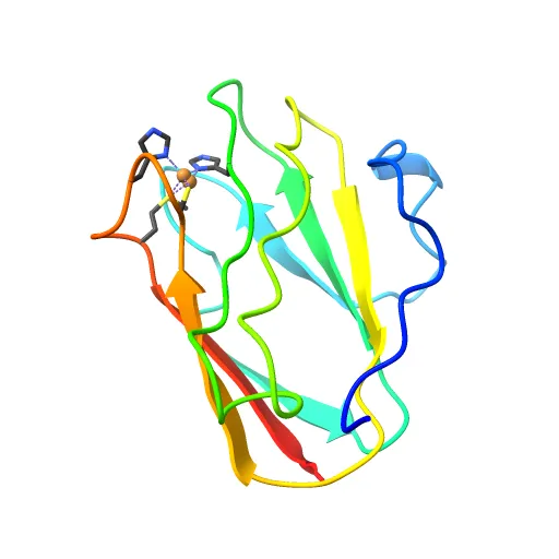 Reduced Cu(I) form at pH 4 of P52G mutant of amicyanin — Фото 3 из 13