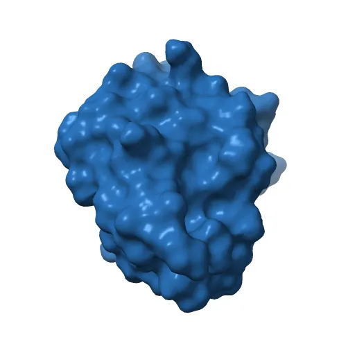 Reduced Cu(I) form at pH 4 of P52G mutant of amicyanin — Фото 4 из 13
