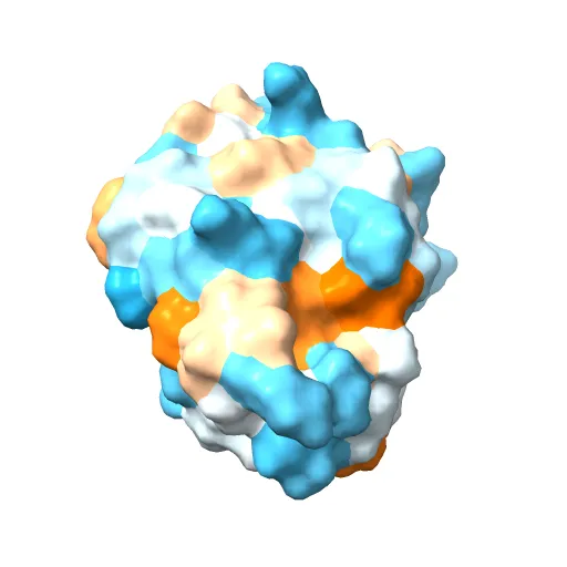 Reduced Cu(I) form at pH 4 of P52G mutant of amicyanin — Фото 6 из 13