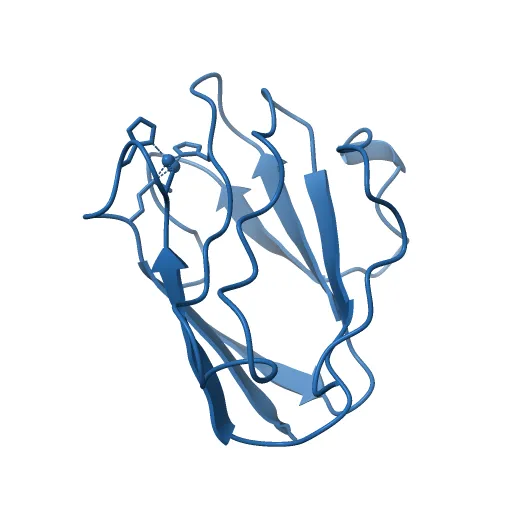 Reduced Cu(I) form at pH 4 of P52G mutant of amicyanin — Фото 7 из 13