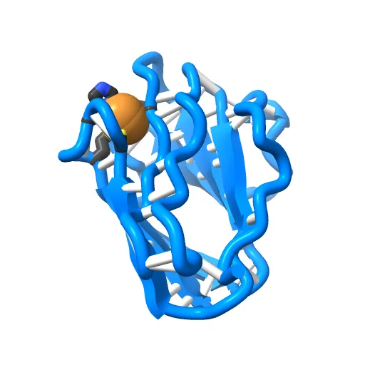 Reduced Cu(I) form at pH 4 of P52G mutant of amicyanin — Фото 8 из 13