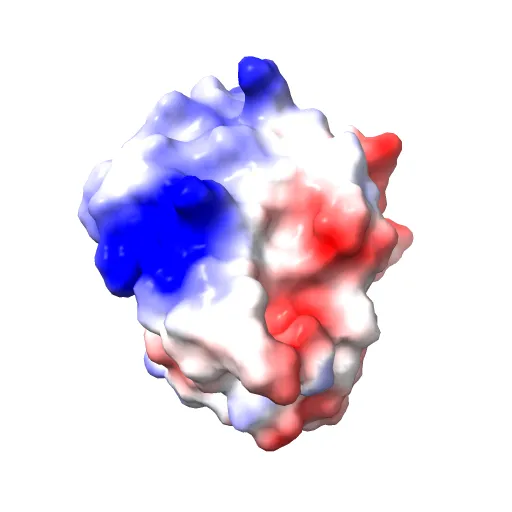 Reduced Cu(I) form at pH 4 of P52G mutant of amicyanin — Фото 11 из 13