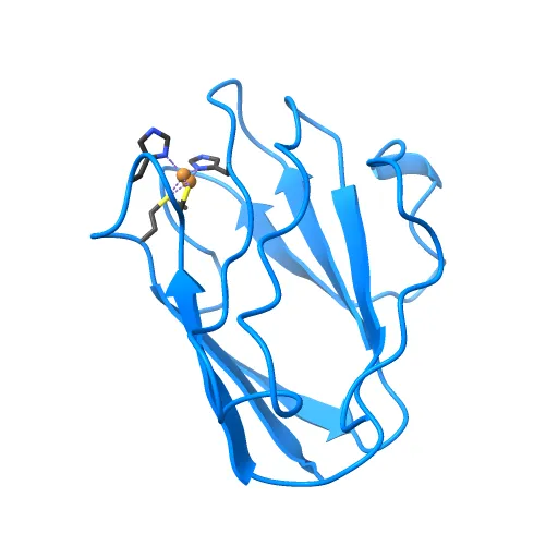 Reduced Cu(I) form at pH 4 of P52G mutant of amicyanin — Фото 12 из 13