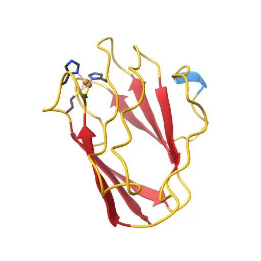 Reduced Cu(I) form at pH 4 of P52G mutant of amicyanin — Фото 13 из 13