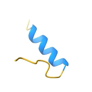 CONFORMATIONAL MAPPING OF THE N-TERMINAL FUSION PEPTIDE OF HIV-1 GP41 USING 13C-ENHANCED FOURIER TRANSFORM INFRARED SPECTROSCOPY (FTIR)