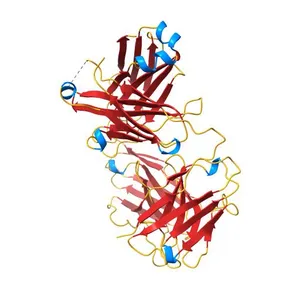 Crystal Structure of the Human Fab VRC38.01, an HIV-1 V1V2-Directed Neutralizing Antibody Isolated from Donor N90