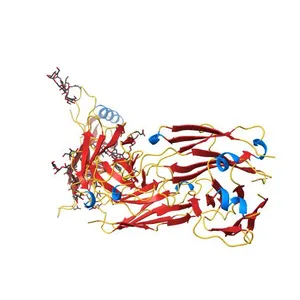 Crystal Structure of the Human Fab VRC38.01, an HIV-1 V1V2-Directed Neutralizing Antibody Isolated from Donor N90, bound to a scaffolded WITO V1V2 domain