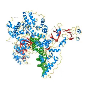 Insights into the Replisome from the Crystral Structure of the Ternary Complex of the Eubacterial DNA Polymerase III alpha-subunit