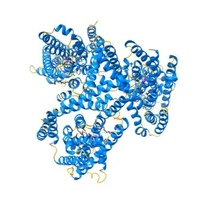 Crystal structure of GltPh in complex with L-aspartate and sodium ions