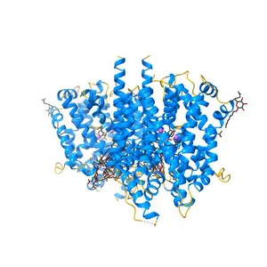Crystal structure of LeuT bound to L-leucine (30 mM) and sodium