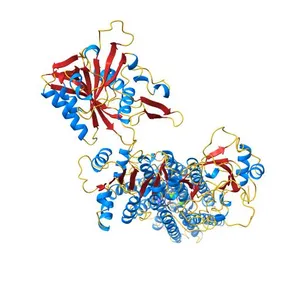 Crystal structure of calcium ATPase with two bound calcium ions