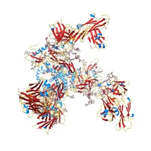Crystal Structure of the BG505 SOSIP gp140 HIV-1 Env trimer in Complex with the Broadly Neutralizing Fab PGT122