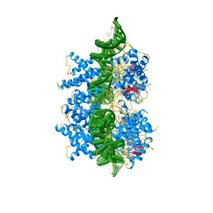 CRE RECOMBINASE/DNA COMPLEX INTERMEDIATE I