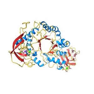 BACILLUS STEAROTHERMOPHILUS ALPHA-AMYLASE