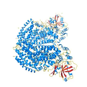 Toluene bound in the resting active site of toluene 4-monooxygenase (T4moH)