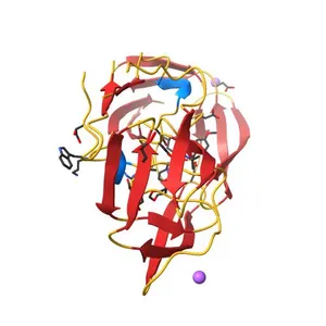 Wild Type HIV-1 Protease with potent Antiviral inhibitor GRL-0255A