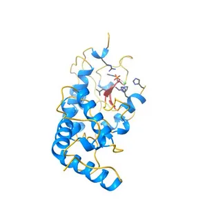 CRYSTAL STRUCTURE OF THE ESCHERICHIA COLI COLICIN E9 DNASE DOMAIN WITH ITS COGNATE IMMUNITY PROTEIN IM9