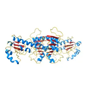 The crystals structure of dehydrogenase from Rhizobium meliloti