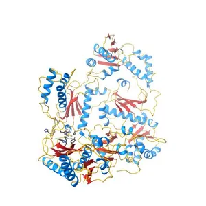 HIV-1 REVERSE TRANSCRIPTASE