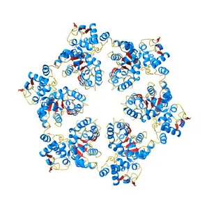 Crystal structure of symmetric W-W-W ClpX Hexamer