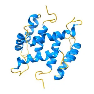 SOLUTION STRUCTURE OF RAT APO-S100B USING DIPOLAR COUPLINGS