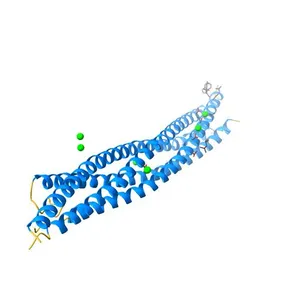 NEURONAL SYNAPTIC FUSION COMPLEX