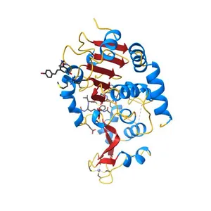 Complex of human Sirt3 with Bromo-Resveratrol and ACS2 peptide