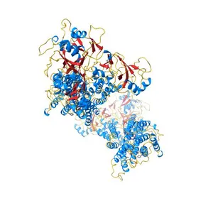 Crystal structure of the SR Ca2+-ATPase in the absence of Ca2+