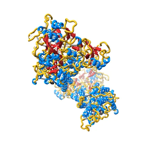 Crystal structure of the SR Ca2+-ATPase in the absence of Ca2+ — Фото 2 из 13