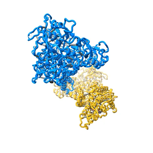 Crystal structure of the SR Ca2+-ATPase in the absence of Ca2+ — Фото 4 из 13