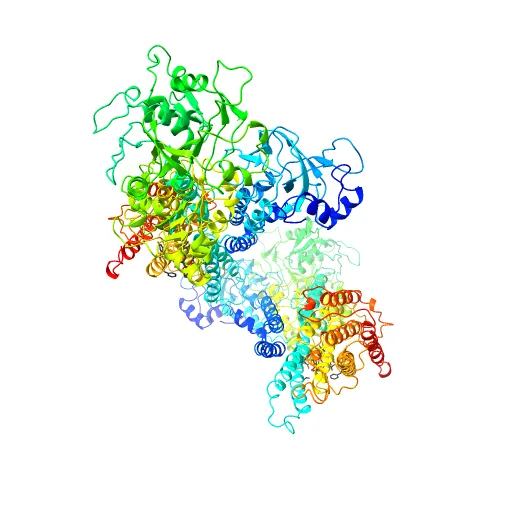 Crystal structure of the SR Ca2+-ATPase in the absence of Ca2+ — Фото 5 из 13