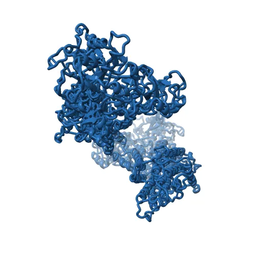Crystal structure of the SR Ca2+-ATPase in the absence of Ca2+ — Фото 6 из 13