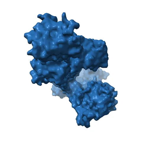 Crystal structure of the SR Ca2+-ATPase in the absence of Ca2+ — Фото 7 из 13