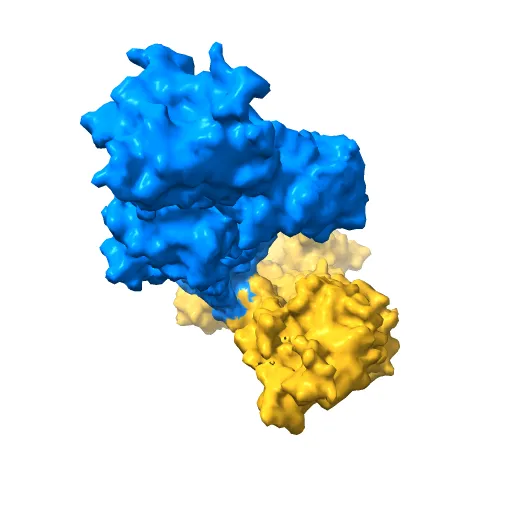 Crystal structure of the SR Ca2+-ATPase in the absence of Ca2+ — Фото 8 из 13