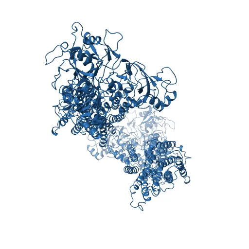 Crystal structure of the SR Ca2+-ATPase in the absence of Ca2+ — Фото 9 из 13