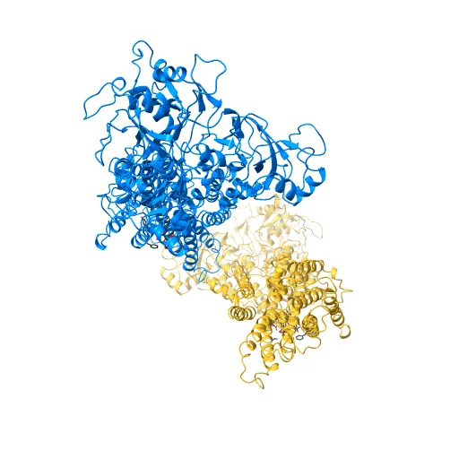 Crystal structure of the SR Ca2+-ATPase in the absence of Ca2+ — Фото 11 из 13