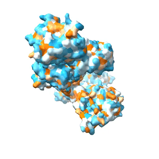 Crystal structure of the SR Ca2+-ATPase in the absence of Ca2+ — Фото 12 из 13
