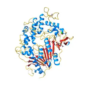 Crystal structure of Ideonella sakaiensis MHETase