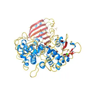 Crystal structure of Ideonella sakaiensis MHETase bound to the non-hydrolyzable ligand MHETA
